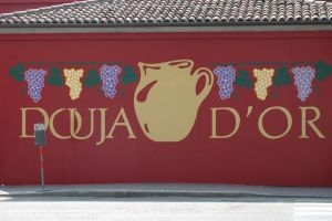 La Barbera d’Asti e i vini del Monferrato protagonisti alla Douja d’Or