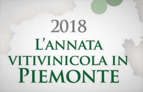 PIEMONTE, UNA VENDEMMIA 2018 A 4 STELLE