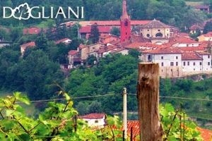 Dogliani (Cuneo)